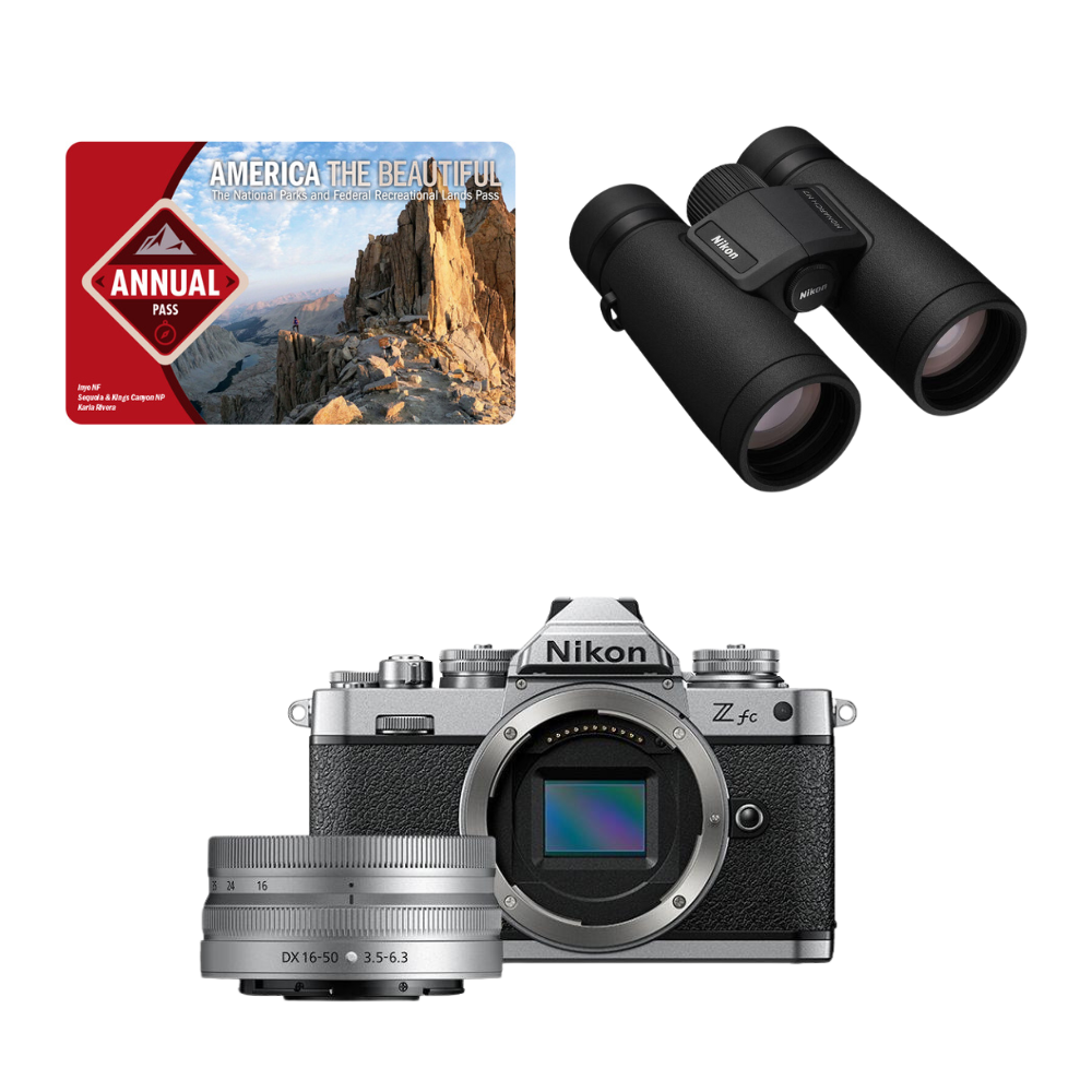 The Outdoor Adventure